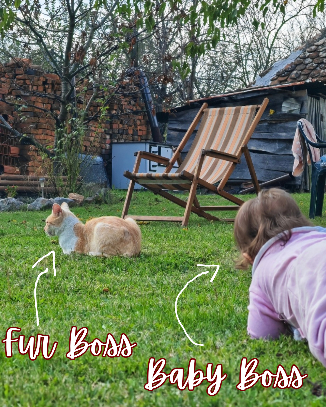 The bosses — fur boss and baby boss