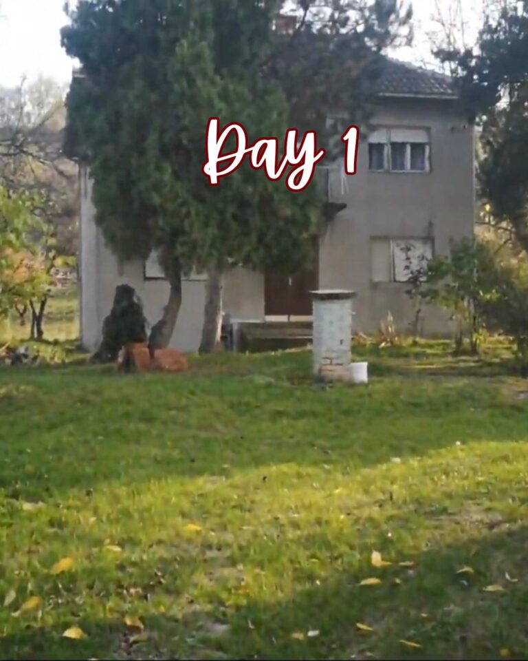 Day 1